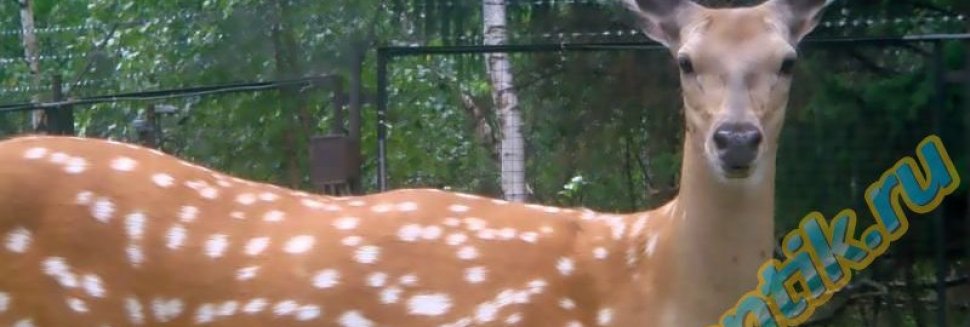 Прикольные Конкурсы для Подростков