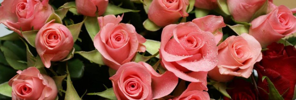 Прикольные Конкурсы на День Рождение