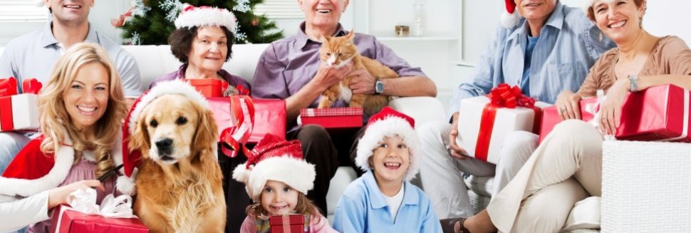 Развлечения за Столом